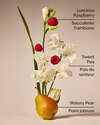 Sweet Pea Wallflowers Fragrance Refill