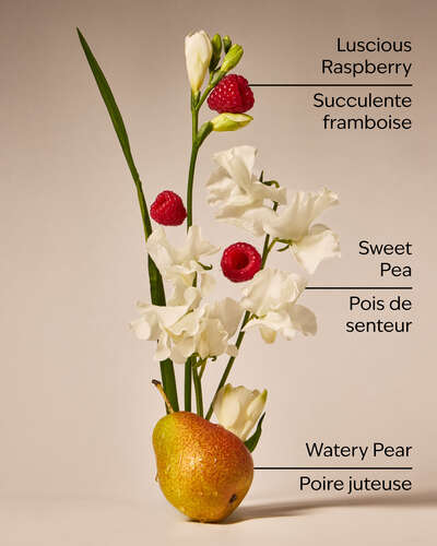 Sweet Pea Wallflowers Fragrance Refill