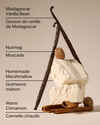 Vanilla Bean 3-Wick Candle