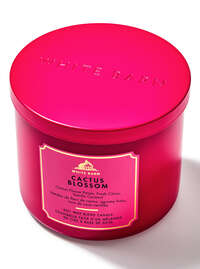 Cactus Blosom 3-Wick Candle