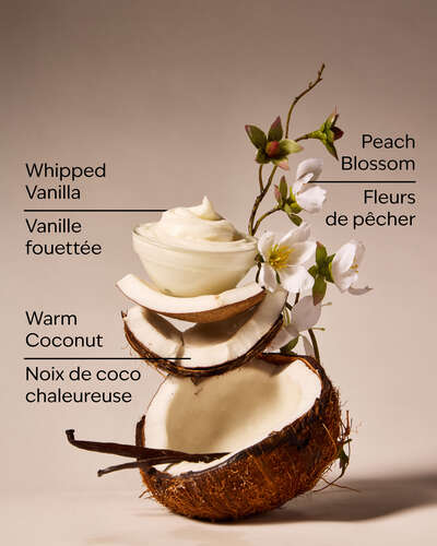 Vanilla Coconut Wallflowers Fragrance Refill