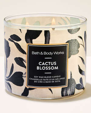 Cactus Blossom 3-Wick Candle
