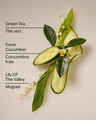 Cucumber & Lily Daily Moisturizing Hand Soap