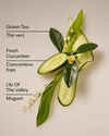 Cucumber & Lily Daily Moisturizing Hand Soap