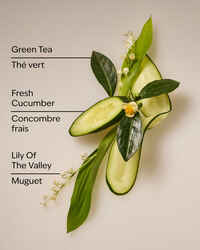 Cucumber & Lily Daily Moisturizing Hand Soap