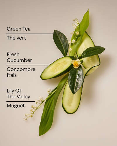 Cucumber & Lily Daily Moisturizing Hand Soap