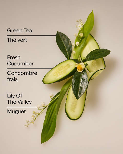 Cucumber & Lily Daily Moisturizing Hand Soap