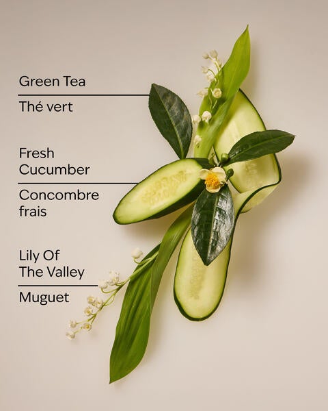 Cucumber & Lily Daily Moisturizing Hand Soap