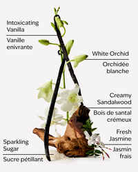 Warm Vanilla Sugar Wallflowers Fragrance Refill