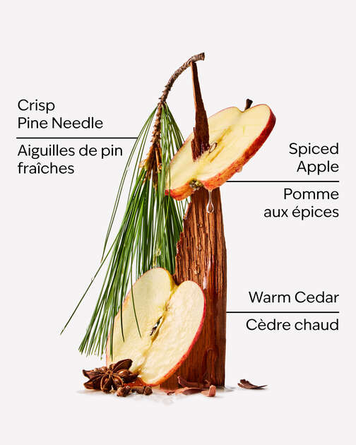 Tree Farm Hanging Fragrance Diffuser