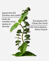 Eucalyptus Spearmint Gift Set