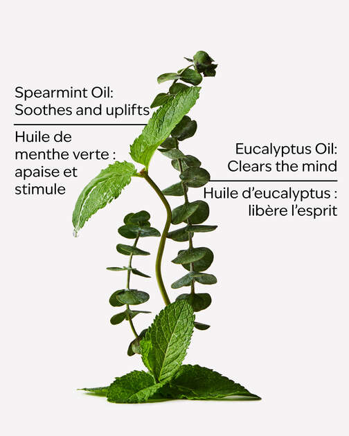 Eucalyptus Spearmint Gift Set