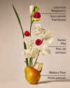 Sweet Pea Body Wash