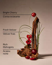 Mahogany Cherry 3-Wick Candle