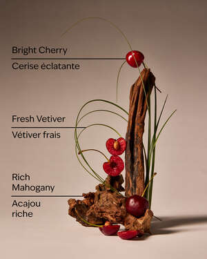 Mahogany Cherry 3-Wick Candle