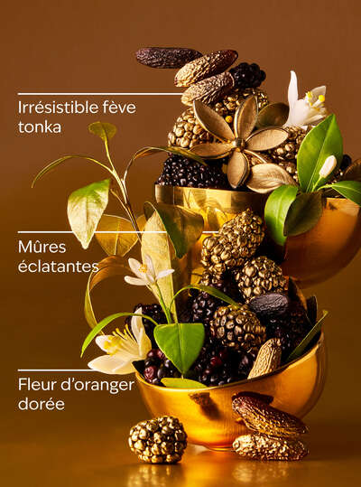 Touch of Gold Eau De Parfum