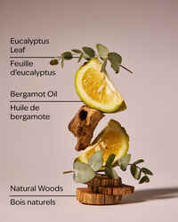Eucalyptus Bergamot Revitalizing Gel Hand Soap