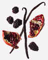 Pomegranate & Blackberry Gentle & Clean Foaming Hand Soap