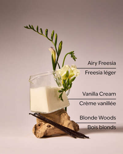 Vanilla Cloud 3-Wick Candle