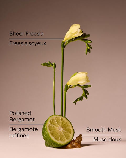 Lounge Talk Wallflowers Fragrance Refill