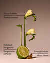 Lounge Talk Wallflowers Fragrance Refill