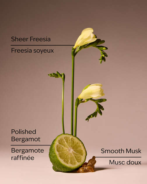Lounge Talk Wallflowers Fragrance Refill