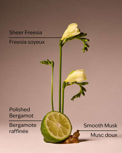 Lounge Talk Wallflowers Fragrance Refill