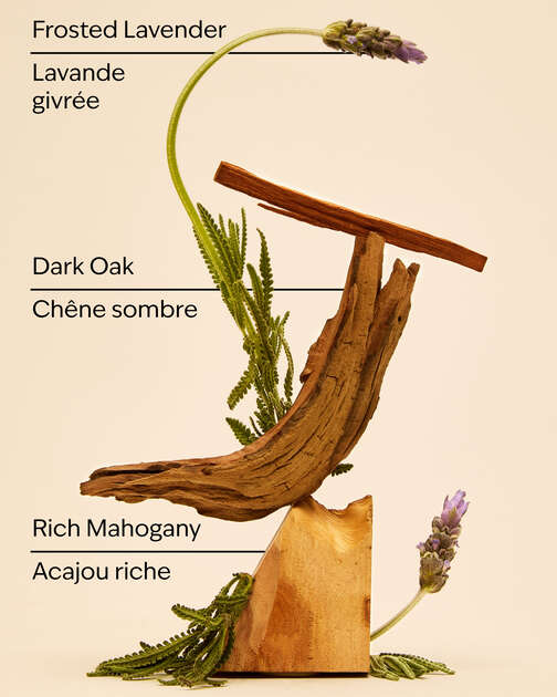 Mahogany Teakwood Car Fragrance Refill