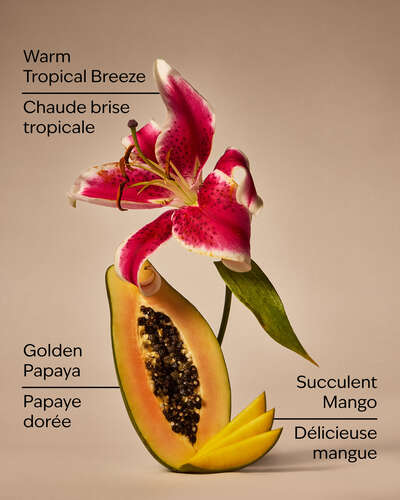 Mango Papaya Paradise 3-Wick Candle