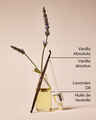 Désinfectant en vaporisateur Lavender Vanilla