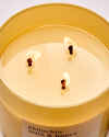 Pistachio Milk & Honey 3-Wick Candle