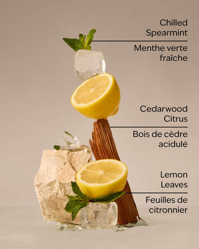 Fresh Amalfi Lemon 3-Wick Candle