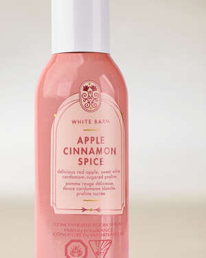 Apple Cinnamon Spice Concentrated Room Spray
