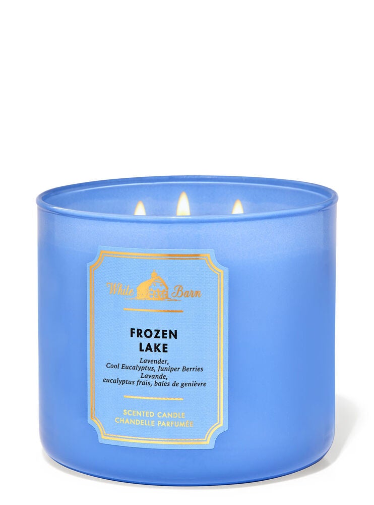 Frozen Lake 3Wick Candle Bath and Body Works