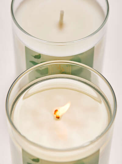 Eucalyptus Spearmint Single Wick Candle