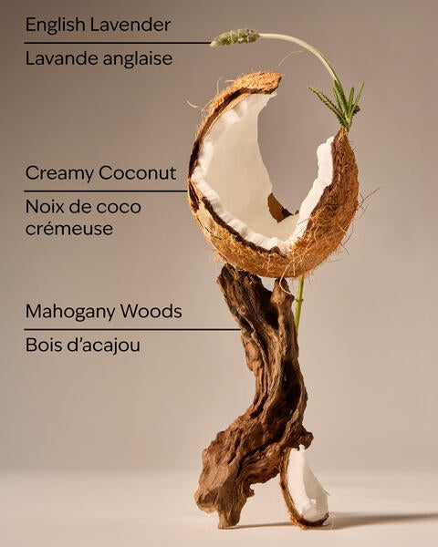 Savon moussant doux et net Mahogany Coconut