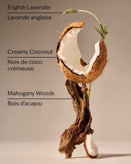 Mahogany Coconut Gentle & Clean Foaming Hand Soap