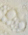 Platinum Body Wash