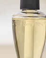 Recharge de fragrance Wallflowers Whipped Honey & Vanilla