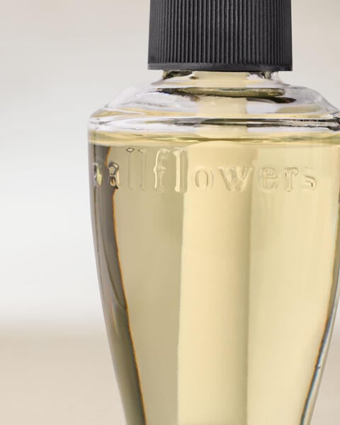 Recharge de fragrance Wallflowers Whipped Honey & Vanilla