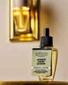 Recharge de fragrance Wallflowers Japanese Cherry Blossom
