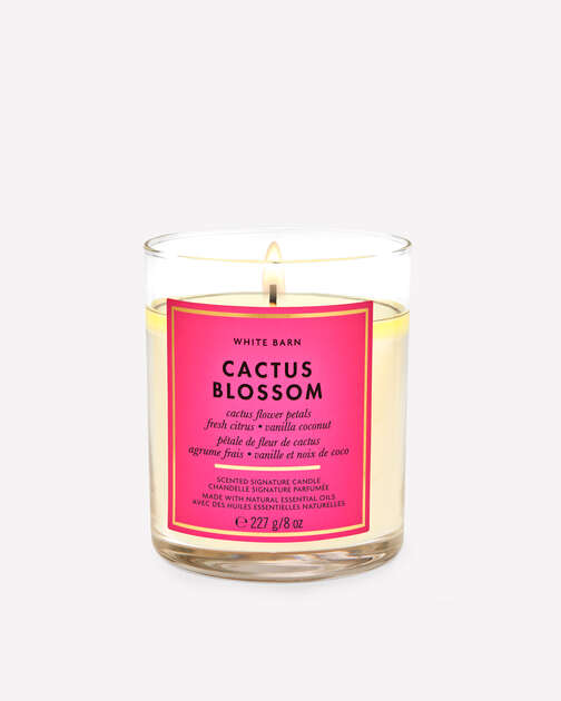 Cactus Blossom Single Wick Candle