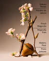 Forever Cherry Blossom Body Wash