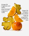 Orange Ginger Body Wash & Foam Bath