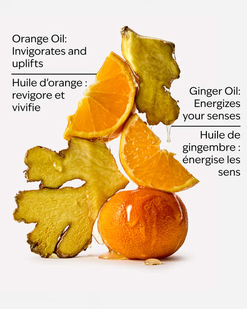 Orange Ginger Body Wash & Foam Bath