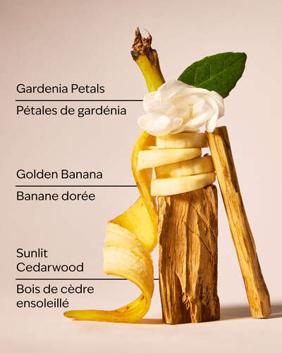 Dreaming of Rio Fine Fragrance Mist