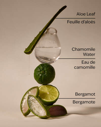 Fresh Rainfall Hand Sanitizer Spray