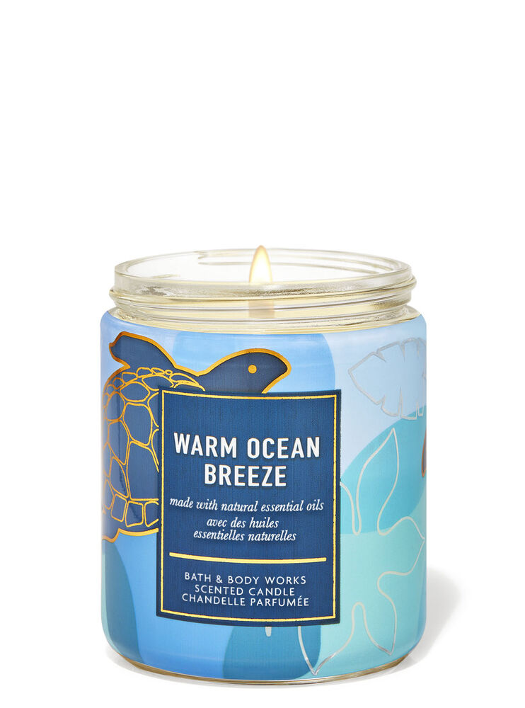 Warm Ocean Breeze Single Wick Candle Image 2