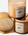 Freshly Brewed Coffee 3-Wick Candle