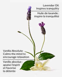 Lavender Vanilla Body Wash & Foam Bath